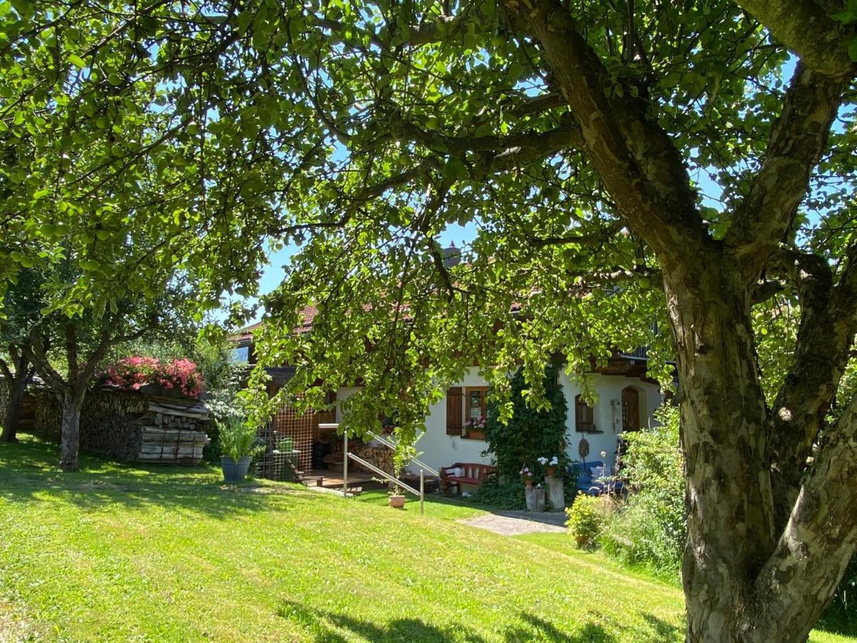 Haus Wiesengrund Frauenau Exterior photo